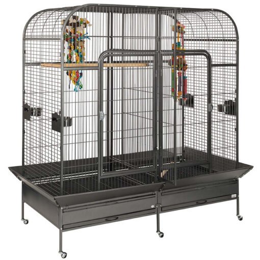 Endeavour Large Parrot Cage with Divider - Exotic Parrot Shop | Live ...