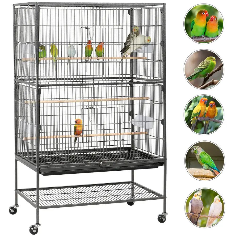 Premium Parrot Cages for Sale | Durable, Safe, Customizable