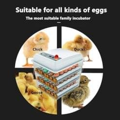 Alternative view of JAEDO Automatic Egg Incubator 150~180 Egg Incubator Digital Automatic Hatcher with Egg Turning for Chickens Ducks Goose Birds