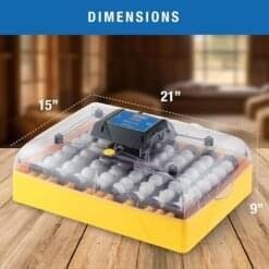 Incubators