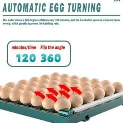 Alternative view of Commercial Egg Incubator for Hatching Chickens, Ducks, Quails & Turkeys – Auto Water Replenishment, Holds 6-392 Eggs, 360° Clear View Window, Ideal for Home & Farm Use