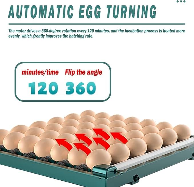 Commercial Egg Incubator for Hatching Chickens, Ducks, Quails & Turkeys – Auto Water Replenishment, Holds 6-392 Eggs, 360° Clear View Window, Ideal for Home & Farm Use - Image 2