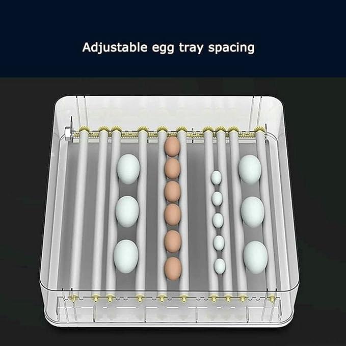 Digital Egg Incubator – Fully Automatic Egg Turning for Hatching Chickens, Ducks, Birds, Quail, Parrots, Pigeons – 56 Egg Capacity, Dual Power Options Available - Image 6