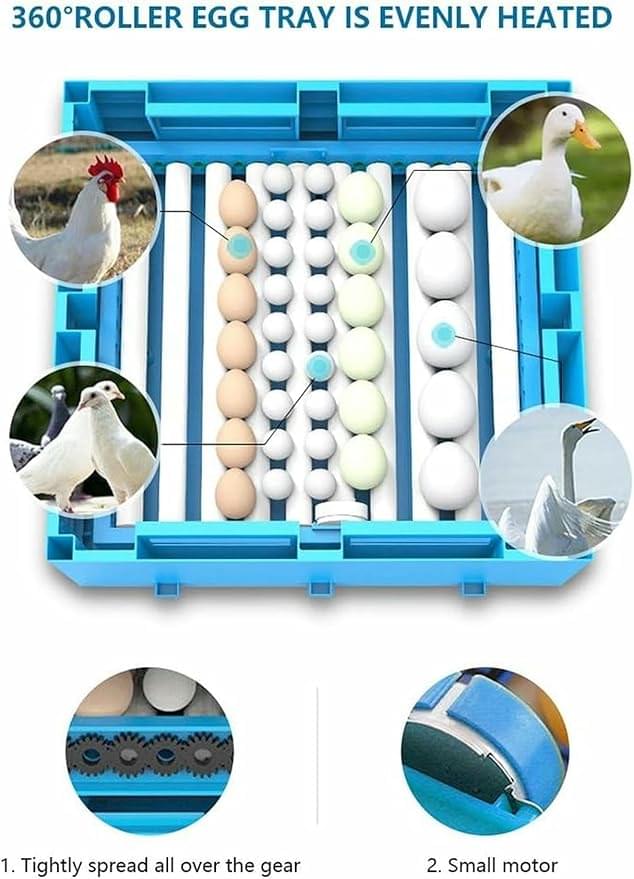 Egg Incubator, Egg Incubator with Automatic Egg Turning for Hatching Eggs Holds 128 Eggs Temperature Control Poultry Chicken Chick Duck Machine - Image 4