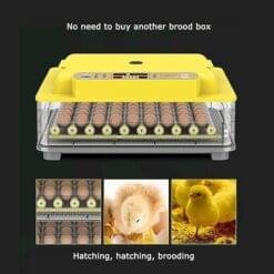Alternative view of Digital Egg Incubator – Fully Automatic Egg Turning for Hatching Chickens, Ducks, Birds, Quail, Parrots, Pigeons – 56 Egg Capacity, Dual Power Options Available